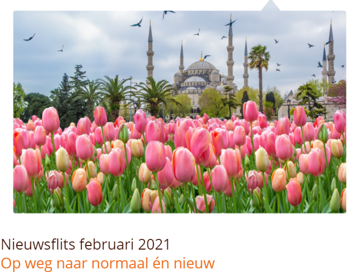 Nieuwsflits februari 2021